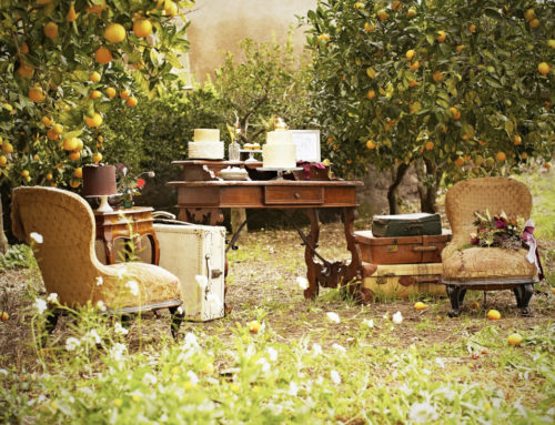 A Romantic Wedding in the Italian Countryside.